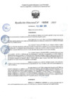 Vista preliminar de documento RD 0536-2025 NX