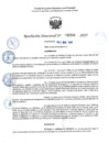 Vista preliminar de documento RD 0544-2025 NX