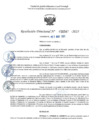 Vista preliminar de documento RD 0547-2025 NX