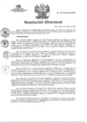 Vista preliminar de documento RD N°075-2025