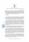 Vista preliminar de documento Resolucion Gerencial Regional Nº411-2025