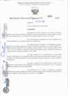 Vista preliminar de documento RDREJ.0263-2025-NOMBRAR EN LA CARRERA PÚBLICA DOCENTE A DELMER RAMOS