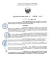 Vista preliminar de documento RD 0676-2025 NX