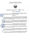 Vista preliminar de documento RD 0677-2025 NX