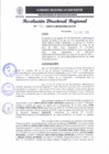 Vista preliminar de documento RDR 135-2025