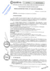 Vista preliminar de documento RES.RECT. N° 0322-2025-UNHEVAL