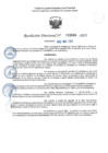 Vista preliminar de documento RD 0684-2025 NX