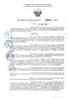 Vista preliminar de documento RD 0685-2025 NX