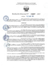 Vista preliminar de documento RD 0687-2025 NX