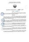 Vista preliminar de documento RD 0688-2025 NX