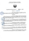 Vista preliminar de documento RD 0691-2025 NX