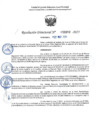 Vista preliminar de documento RD 0693-2025 NX