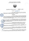 Vista preliminar de documento RD 0695-2025 NX