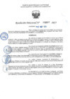 Vista preliminar de documento RD 0697-2025 NX