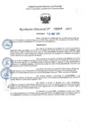 Vista preliminar de documento RD 0699-2025 NX