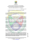 Vista preliminar de documento RCO N° 154-2025