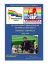 Vista preliminar de documento PLAN PROVINCIAL YAROWILCA 2024-2027 APROVADO