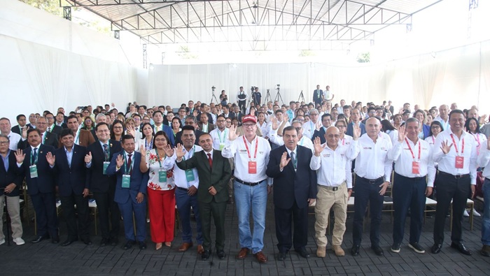 Foto 01
