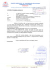 Vista preliminar de documento Informe 16-2025-CODISEC/ST