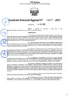 Vista preliminar de documento 119 2025