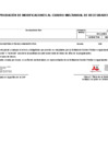 Vista preliminar de documento ANEXO 6 N 000036