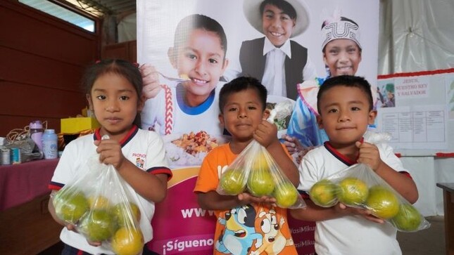 Programa Nacional de Alimentación Escolar