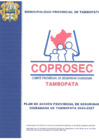 Vista preliminar de documento PLAN DE ACCIÓN PROVINCIAL DE SEGURIDAD CIUDADANA DE TAMBOPATA 2024-2027