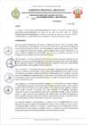 Vista preliminar de documento RESOLUCION N 229
