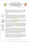 Vista preliminar de documento RESOLUCION N 234