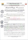 Vista preliminar de documento AC-132-2024