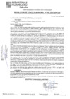 Vista preliminar de documento RCM25N301