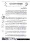 Vista preliminar de documento RDS N 197 AJ