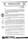 Vista preliminar de documento RDS N 193 AJ