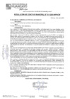 Vista preliminar de documento RCM25N311