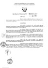 Vista preliminar de documento 2438