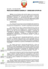 Vista preliminar de documento RGG Nº D000025-2025-GG