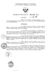 Vista preliminar de documento 2440