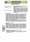 Vista preliminar de documento TDR Nº 602 