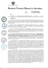 Vista preliminar de documento RESOLUCION_DIRECTORAL_REGIONAL_DE_AGRICULTURA_559_2024_DRA_MOQ