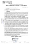Vista preliminar de documento RCM25N317