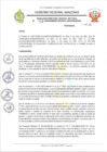 Vista preliminar de documento RESOLUCION N 242