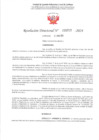 Vista preliminar de documento R.D. 709