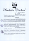 Vista preliminar de documento RD 738-2025-INPE-OGA-URH