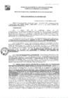 Vista preliminar de documento GDE-103-25