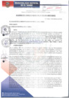 Vista preliminar de documento ACM018-2018