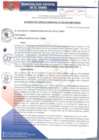 Vista preliminar de documento ACM039-2018