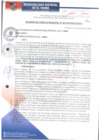Vista preliminar de documento ACM301-2018