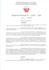 Vista preliminar de documento R.D. 715