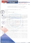 Vista preliminar de documento ACM019-SE-2018