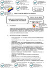 Vista preliminar de documento 01 2025-04-10 Directiva N° DGG-03-GG-2025